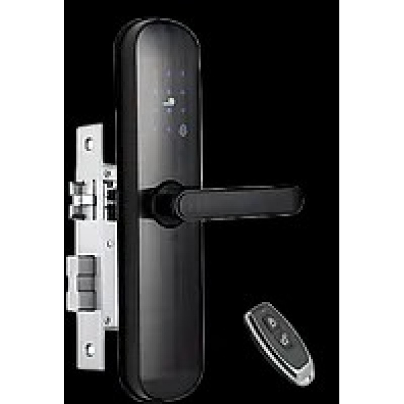 Біометричний розумний замок TTLOCK BOSS W (Китай)