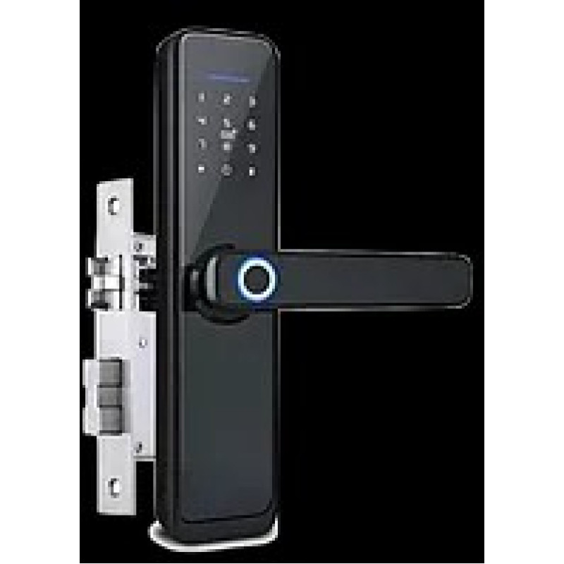 Біометричний розумний замок TTLOCK BOSS W (Китай)